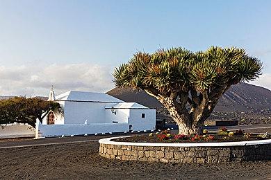 《战国王朝》首次游戏测试于6月22日正式开启