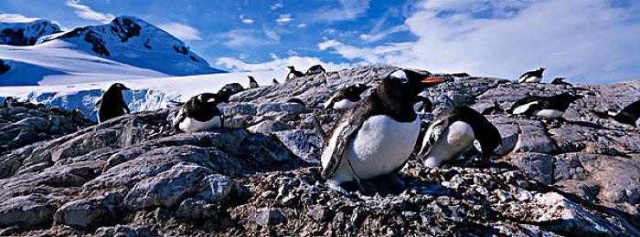 《暗黑破坏神4》2024春节限时活动即将上线